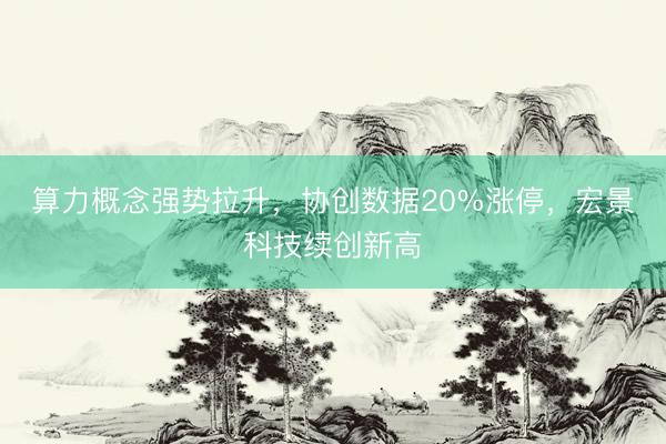 算力概念强势拉升，协创数据20%涨停，宏景科技续创新高