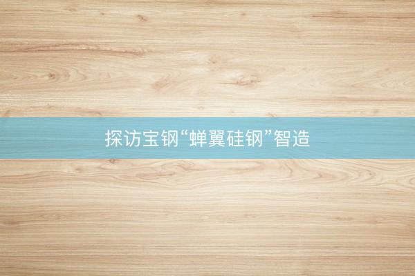 探访宝钢“蝉翼硅钢”智造