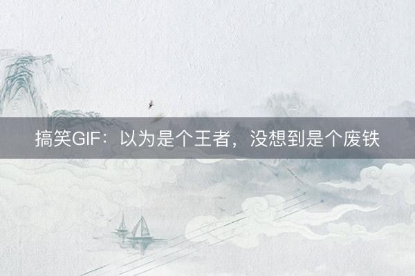 搞笑GIF：以为是个王者，没想到是个废铁