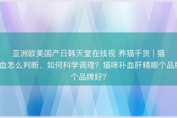 亚洲欧美国产日韩天堂在线视 养猫干货 | 猫咪贫血怎么判断、如何科学调理？猫咪补血肝精哪个品牌好？