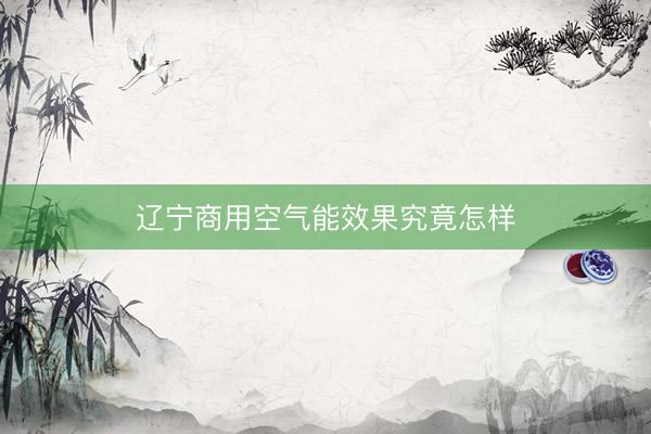 辽宁商用空气能效果究竟怎样