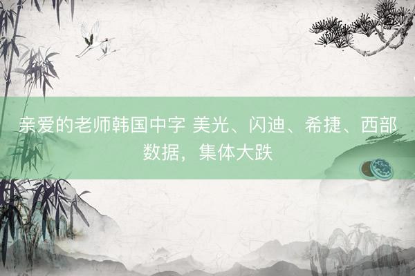 亲爱的老师韩国中字 美光、闪迪、希捷、西部数据，集体大跌