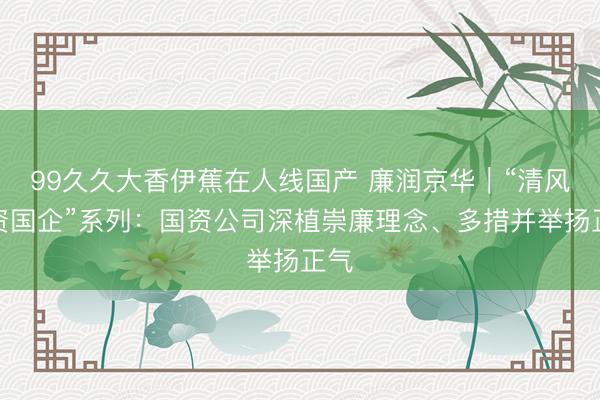 99久久大香伊蕉在人线国产 廉润京华|“清风国资国企”系列:国资公司深植崇廉理念、多措并举扬正气