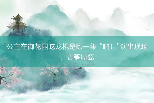 公主在御花园吃龙棍是哪一集 “啪！”演出现场，古筝断弦