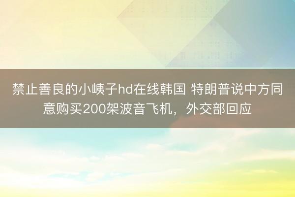 禁止善良的小峓子hd在线韩国 特朗普说中方同意购买200架波音飞机，外交部回应