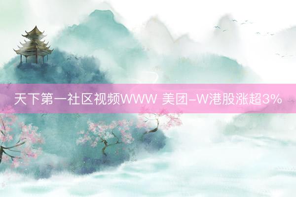 天下第一社区视频WWW 美团-W港股涨超3%