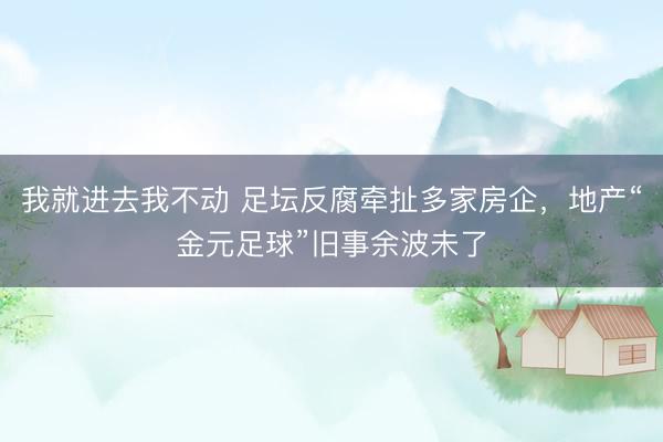 我就进去我不动 足坛反腐牵扯多家房企，地产“金元足球”旧事余波未了