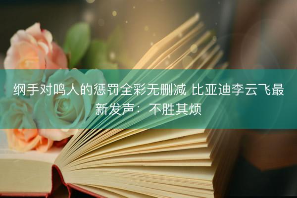 纲手对鸣人的惩罚全彩无删减 比亚迪李云飞最新发声：不胜其烦