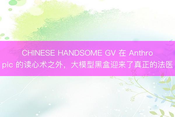 CHINESE HANDSOME GV 在 Anthropic 的读心术之外，大模型黑盒迎来了真正的法医