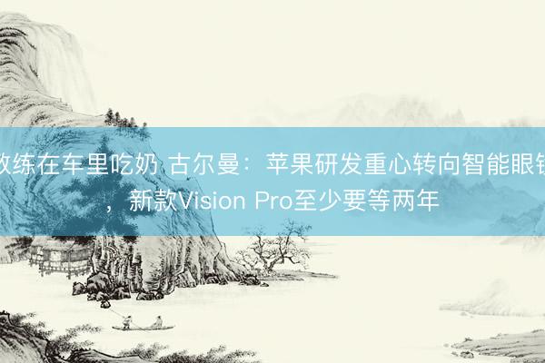 教练在车里吃奶 古尔曼：苹果研发重心转向智能眼镜，新款Vision Pro至少要等两年