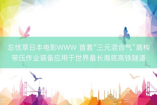 忘忧草日本电影WWW 首套“三元混合气”盾构带压作业装备应用于世界最长海底高铁隧道