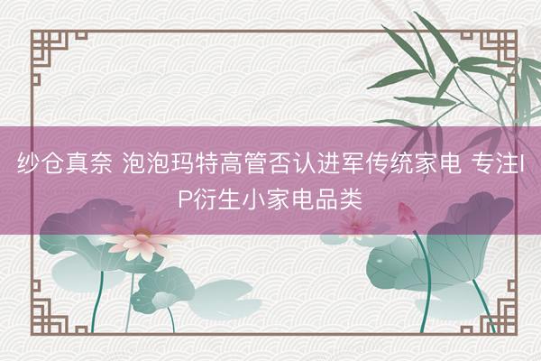 纱仓真奈 泡泡玛特高管否认进军传统家电 专注IP衍生小家电品类