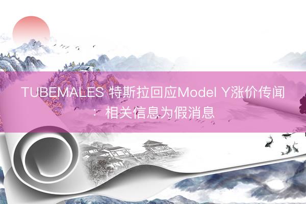 TUBEMALES 特斯拉回应Model Y涨价传闻：相关信息为假消息