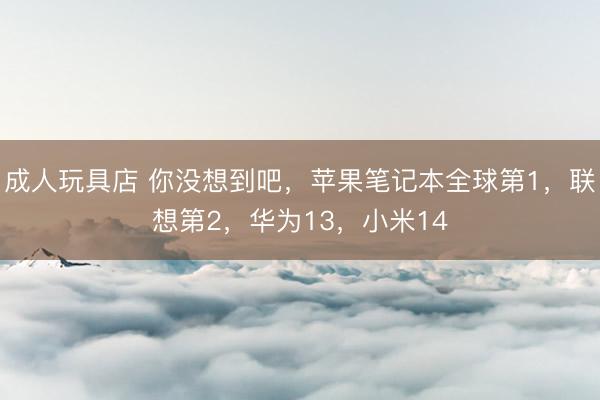 成人玩具店 你没想到吧,苹果笔记本全球第1,联想第2,华为13,小米14