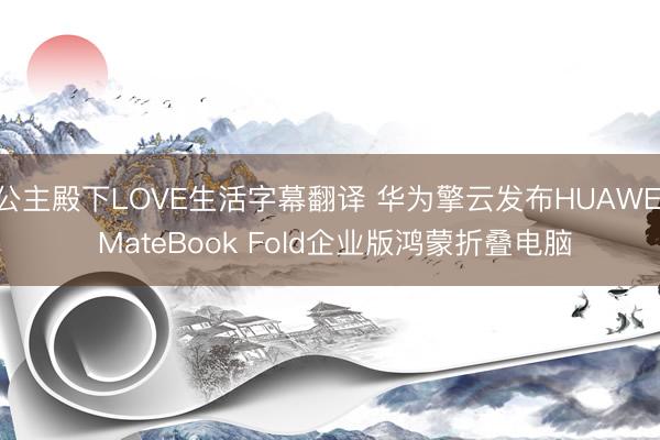 公主殿下LOVE生活字幕翻译 华为擎云发布HUAWEI MateBook Fold企业版鸿蒙折叠电脑