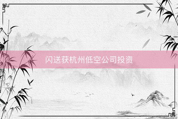 闪送获杭州低空公司投资