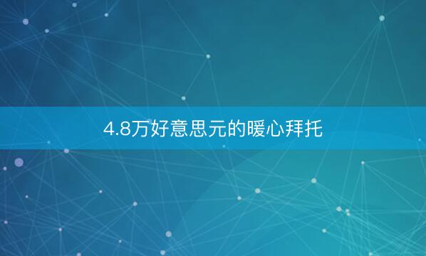 4.8万好意思元的暖心拜托