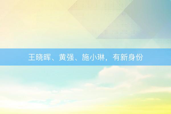 王晓晖、黄强、施小琳，有新身份