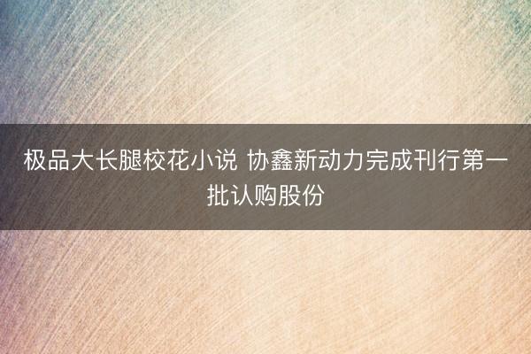 极品大长腿校花小说 协鑫新动力完成刊行第一批认购股份