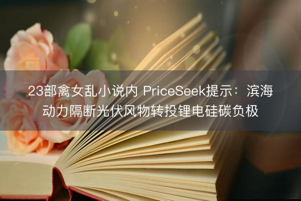 23部禽女乱小说内 PriceSeek提示：滨海动力隔断光伏风物转投锂电硅碳负极