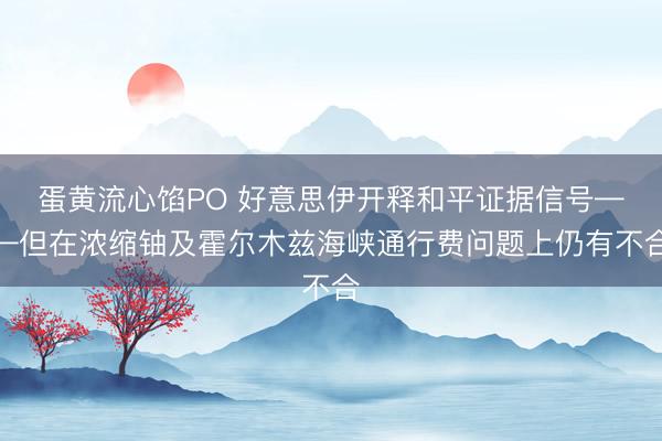 蛋黄流心馅PO 好意思伊开释和平证据信号——但在浓缩铀及霍尔木兹海峡通行费问题上仍有不合