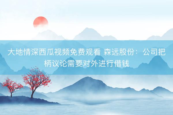 大地情深西瓜视频免费观看 森远股份：公司把柄议论需要对外进行借钱