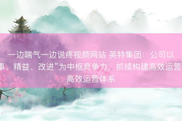 一边喘气一边说疼视频网站 英特集团:公司以“处事、精益、改进”为中枢竞争力,抓续构建高效运营体系