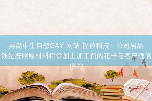 男高中生自慰GAY 网站 福蓉科技:公司居品价钱是按照原材料铝价加上加工费的花样与客户确信的