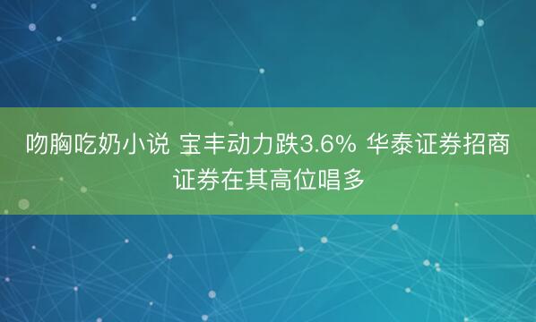 吻胸吃奶小说 宝丰动力跌3.6% 华泰证券招商证券在其高位唱多