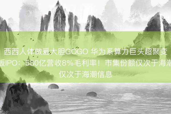 西西人体做爰大胆GOGO 华为系算力巨头超聚变创业板IPO：580亿营收8%毛利率！市集份额仅次于海潮信息