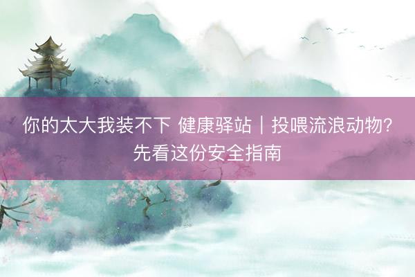 你的太大我装不下 健康驿站｜投喂流浪动物？先看这份安全指南
