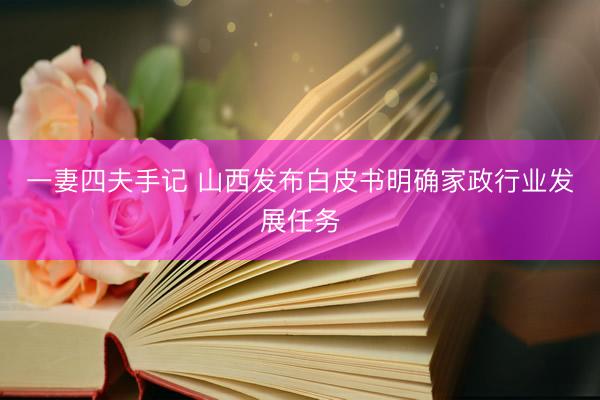 一妻四夫手记 山西发布白皮书明确家政行业发展任务