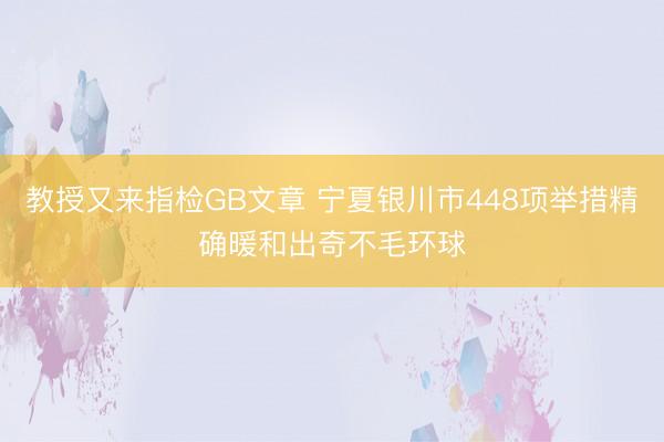 教授又来指检GB文章 宁夏银川市448项举措精确暖和出奇不毛环球