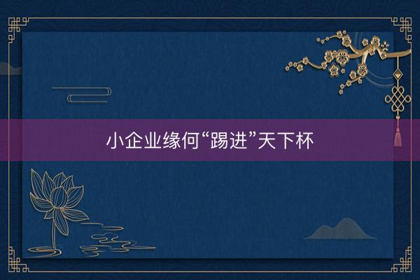 小企业缘何“踢进”天下杯